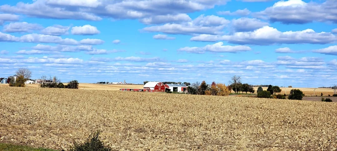 Iowa farmland values hold at $13,200/acre — for now